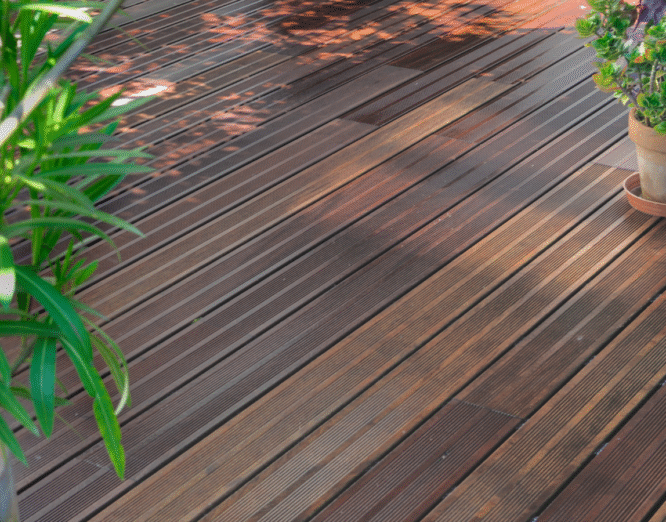 Fabrice et Julien - CRI (400 x 600 px) (1200 x 900 px)